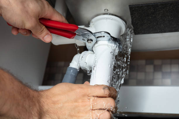 Best Professional water damage repair  in Privateer, SC