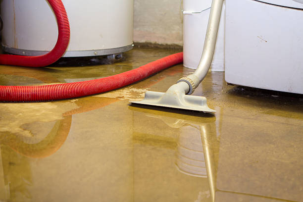 Best Flooded house restoration  in Privateer, SC