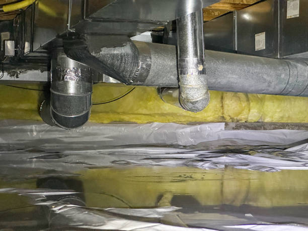 Best Water damage restoration near me  in Privateer, SC