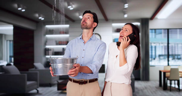 Best Basement water damage restoration  in Privateer, SC